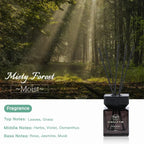 NAMSTE Reed Diffuser Oil With Sticks Aromatherapy Essential Oil Reed Diffuser Fragrance Room Flavoring Air Freshener Home Decor